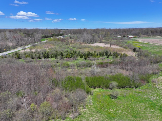 V/L19.54A N Custer Rd, Free Soil, MI 49411