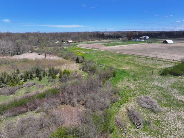 V/L19.54A N Custer Rd, Free Soil, MI 49411