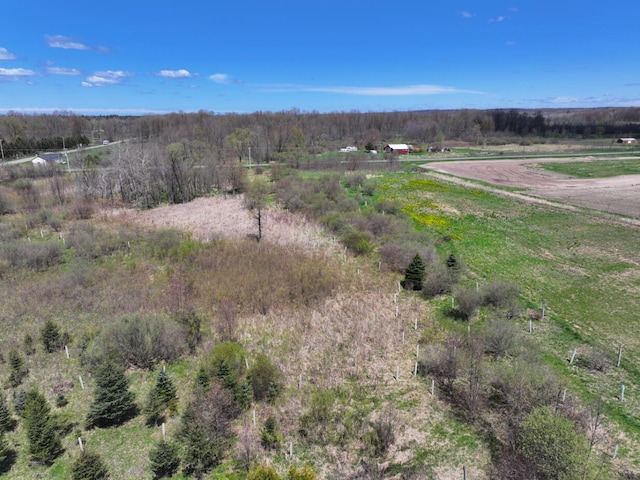 V/L19.54A N Custer Rd, Free Soil, MI 49411
