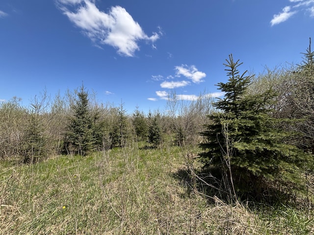 V/L19.54A N Custer Rd, Free Soil, MI 49411