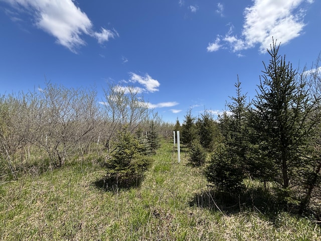 V/L19.54A N Custer Rd, Free Soil, MI 49411