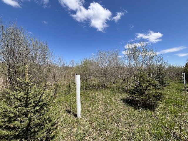 V/L19.54A N Custer Rd, Free Soil, MI 49411