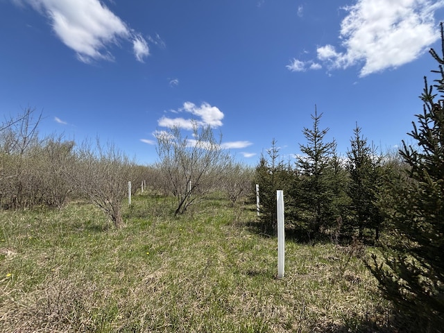 V/L19.54A N Custer Rd, Free Soil, MI 49411