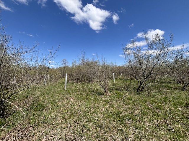 V/L19.54A N Custer Rd, Free Soil, MI 49411