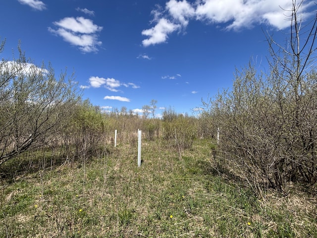 V/L19.54A N Custer Rd, Free Soil, MI 49411