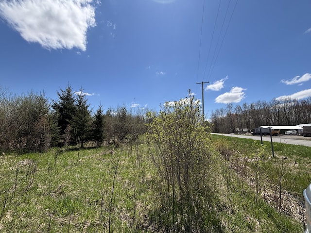 V/L19.54A N Custer Rd, Free Soil, MI 49411