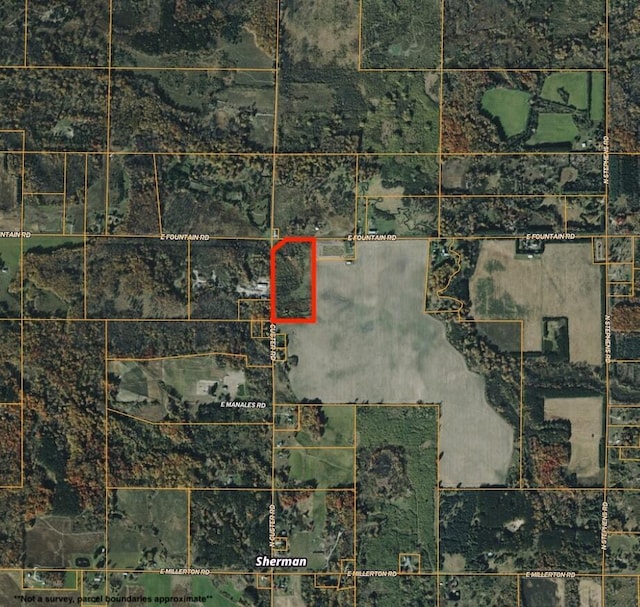 V/L19.54A N Custer Rd, Free Soil, MI 49411