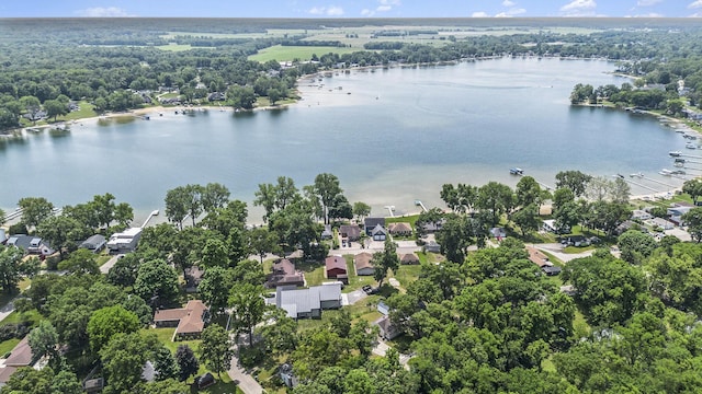 1256 Barron Lake Rd, Niles, MI 49120 - aerial perspective of suburban area featuring a large body of water
