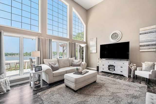 1256 Barron Lake Rd, Niles, MI 49120 - living room featuring healthy amount of natural light, a water view, a high ceiling, and wood finished floors