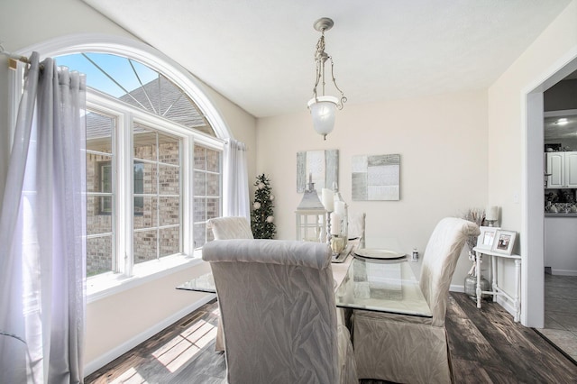 1256 Barron Lake Rd, Niles, MI 49120 - dining room featuring plenty of natural light and wood finished floors