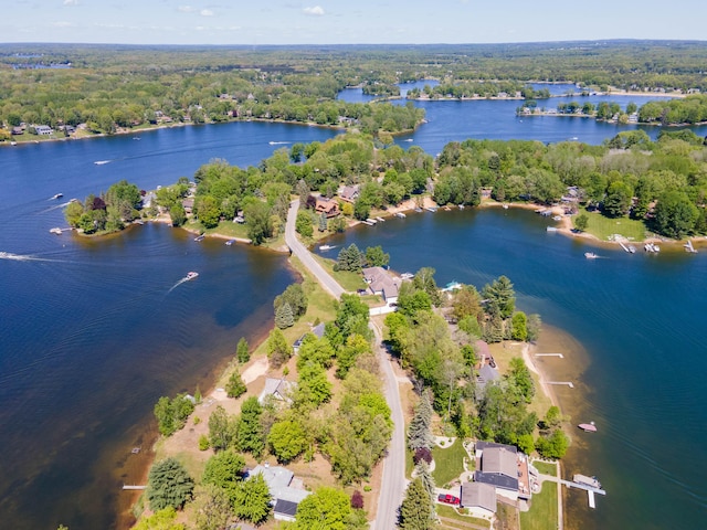 9236 Lost Canyon Ct, Canadian Lakes, MI 49346 - photo 5