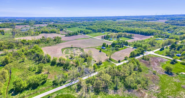 2951 N Meridian Rd, Hudson, MI 49247