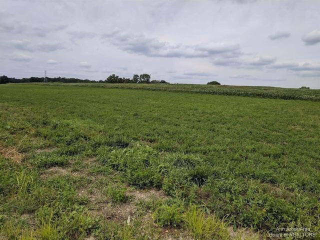 6300 Dell Rd, Saline, MI 48176 - photo 7