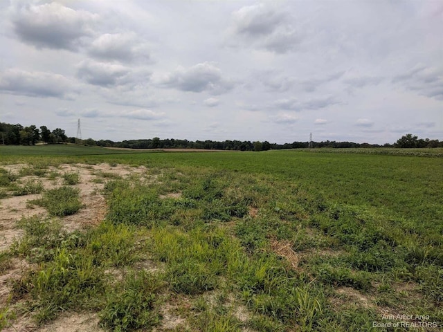 6300 Dell Rd, Saline, MI 48176 - photo 8