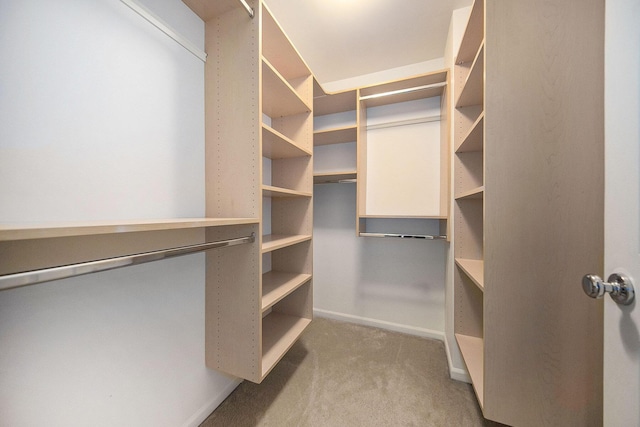 3197 Asher Rd, Ann Arbor, MI 48104 - spacious closet featuring light colored carpet