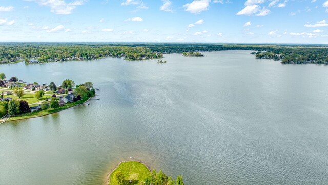 111 E Princess Dr, Brooklyn, MI 49230