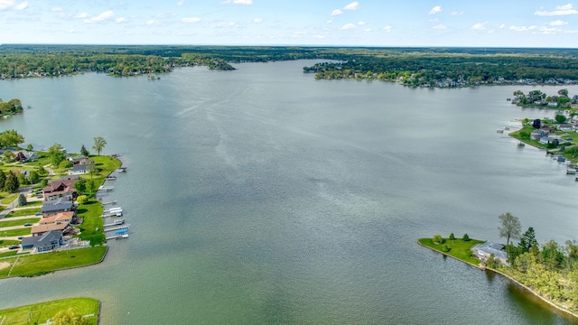 111 E Princess Dr, Brooklyn, MI 49230