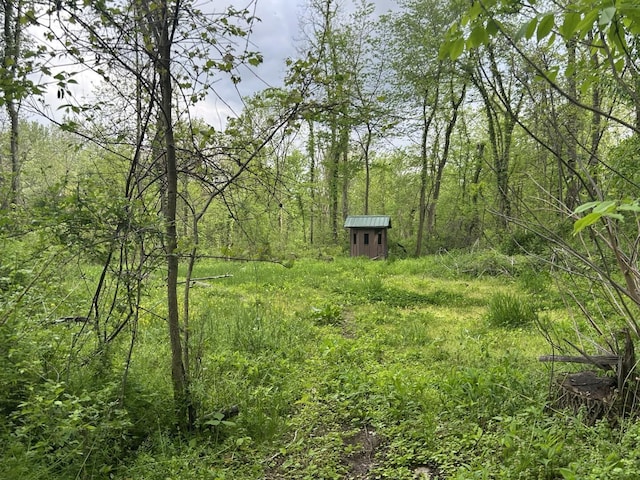 VL Litchfield Rd, Quincy, MI 49082