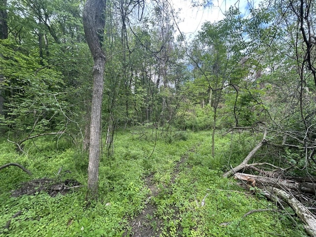 VL Litchfield Rd, Quincy, MI 49082