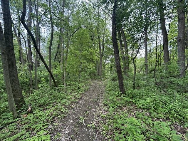 VL Litchfield Rd, Quincy, MI 49082