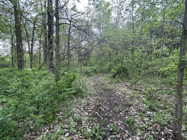 VL Litchfield Rd, Quincy, MI 49082