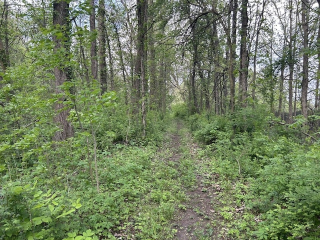 VL Litchfield Rd, Quincy, MI 49082