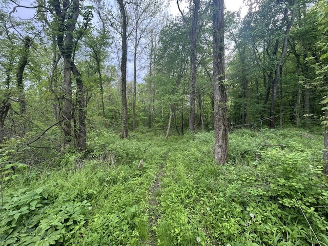 VL Litchfield Rd, Quincy, MI 49082