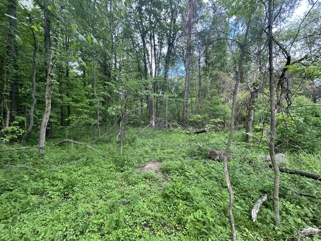 VL Litchfield Rd, Quincy, MI 49082