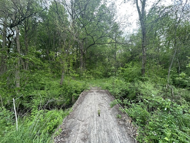 VL Litchfield Rd, Quincy, MI 49082