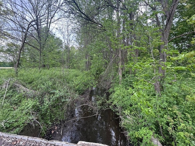 VL Litchfield Rd, Quincy, MI 49082