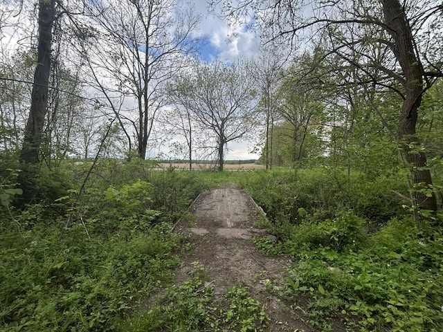VL Litchfield Rd, Quincy, MI 49082