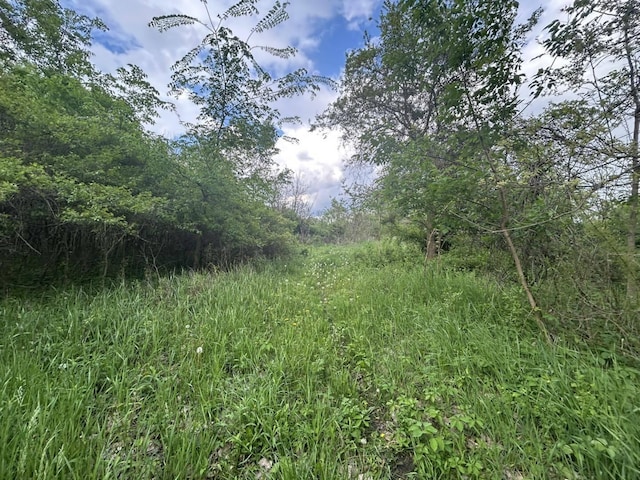VL Litchfield Rd, Quincy, MI 49082