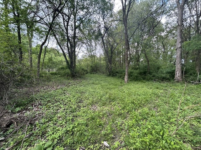 VL Litchfield Rd, Quincy, MI 49082
