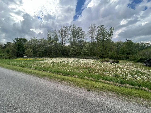 VL Litchfield Rd, Quincy, MI 49082