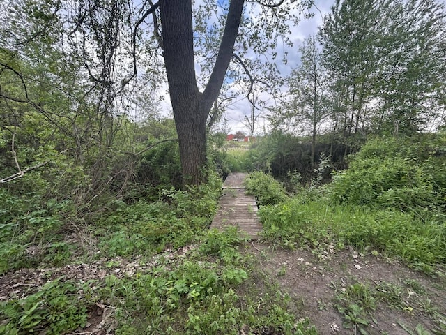 VL Litchfield Rd, Quincy, MI 49082