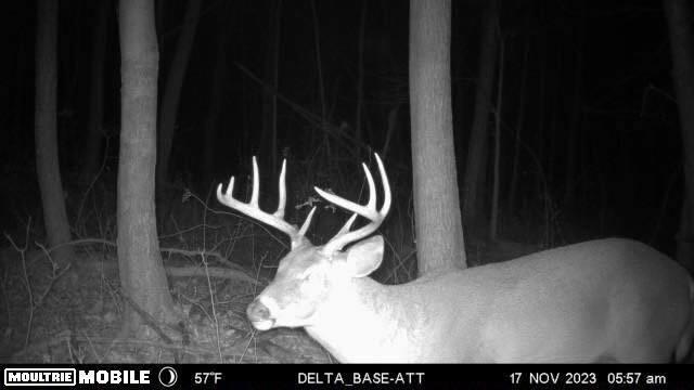 VL Litchfield Rd, Quincy, MI 49082