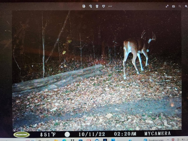 VL Litchfield Rd, Quincy, MI 49082