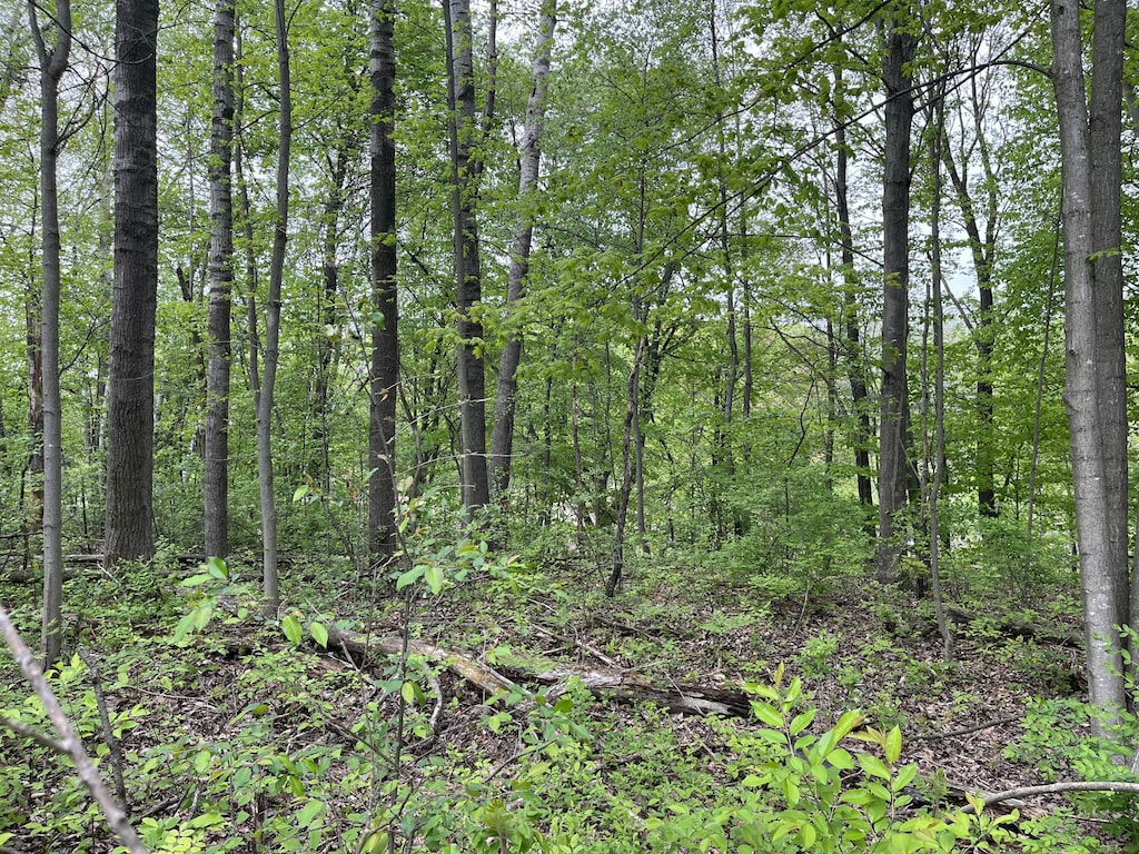 LOT20 E Hts, Remus, MI 49340