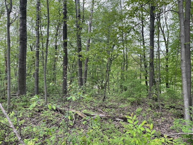 LOT20 E Hts, Remus, MI 49340