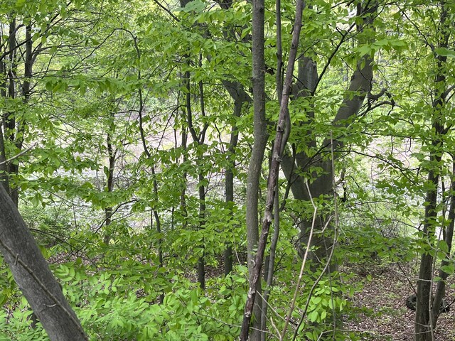 LOT20 E Hts, Remus, MI 49340