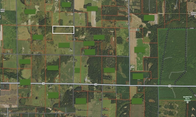Reek Rd Unit 29.77, Acres V/L Custer, MI 49405