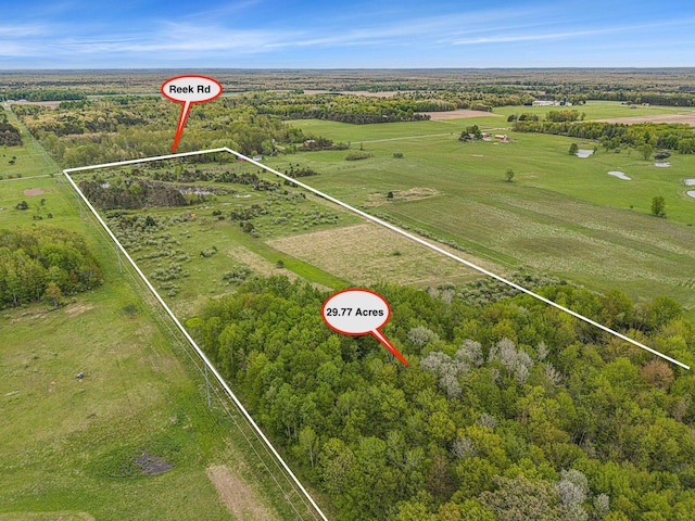 Reek Rd Unit 29.77, Acres V/L Custer, MI 49405