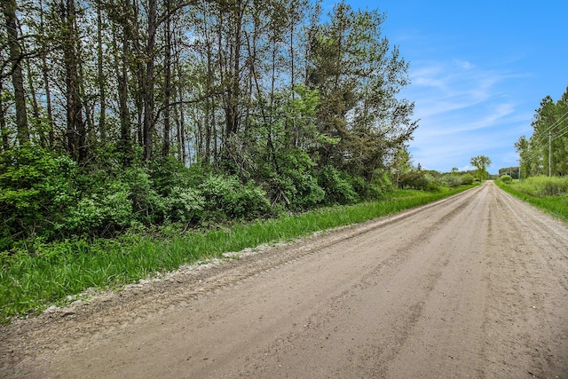 Reek Rd Unit 29.77, Acres V/L Custer, MI 49405