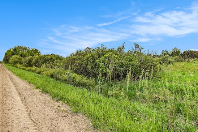 Reek Rd Unit 29.77, Acres V/L Custer, MI 49405