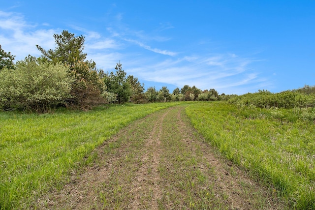 Reek Rd Unit 29.77, Acres V/L Custer, MI 49405