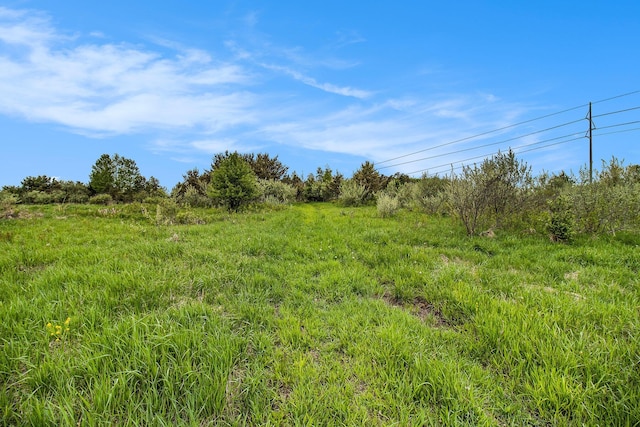 Reek Rd Unit 29.77, Acres V/L Custer, MI 49405