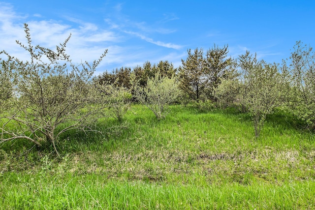 Reek Rd Unit 29.77, Acres V/L Custer, MI 49405