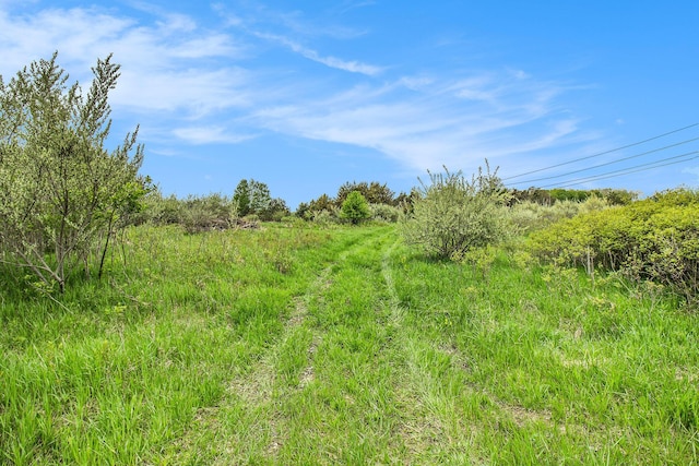 Reek Rd Unit 29.77, Acres V/L Custer, MI 49405