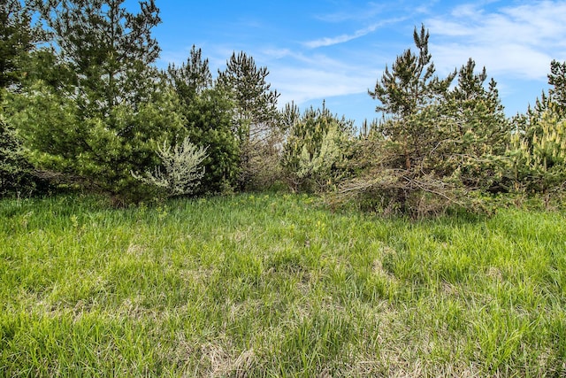 Reek Rd Unit 29.77, Acres V/L Custer, MI 49405