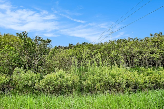 Reek Rd Unit 29.77, Acres V/L Custer, MI 49405